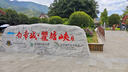地平線8號（LEVEL8）行李箱密碼拉桿箱男女托運大容量萬向輪學生旅行者PC箱 24英寸灰 曬單實拍圖