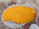 京鮮生 云南鷹嘴芒凈重8.5斤裝 單果200g+ 生鮮水果源頭直發(fā) 曬單實(shí)拍圖