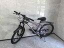 鳳凰（Phoenix）山地自行車減震變速成人男款單車青少年學(xué)生越野公路 烏梅子醬+加粗減震+輻條輪 24寸-24速（建議身高150-165） 曬單實(shí)拍圖