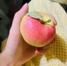 嘎啦蘋(píng)果新鮮水果當(dāng)季整箱9斤陜西紅富士脆甜冰糖丑青小平果包郵 凈重4.5斤（60-65mm） 曬單實(shí)拍圖