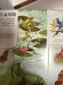 揭秘數學/化學/物理/生物（3-6歲少兒科普翻翻書）一二年級小學生數理化生閱讀理科啟蒙 曬單實拍圖