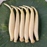 灃御園25年新藕 馬踏湖白蓮藕 生吃藕脆藕蓮菜水果藕新鮮現(xiàn)挖產(chǎn)地直發(fā) 3斤精品裝 曬單實拍圖