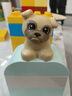 樂高（LEGO）自由拼搭組合 10914豪華繽紛桶&10460綠色拼搭底板 曬單實拍圖