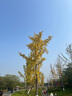 蘇泊爾（SUPOR）砂鍋 煲湯鍋燉鍋陶瓷煲仔飯耐高溫不開裂瓦罐3.5L  EB35ABAT01 曬單實拍圖