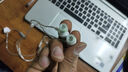 竹林鳥霜華Z2入耳式動(dòng)圈HiFi有線耳機(jī)直播K歌電腦游戲電競音樂耳塞 霜華/Z2  Typec版 有麥克風(fēng) 曬單實(shí)拍圖