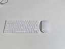 威頓【2025同芯頂配】適用apple/蘋果鼠標(biāo)無線Mac妙控藍(lán)牙MacBook筆記本電腦air ipad平板Magic可充電 【妙控鼠標(biāo)-蘋果白】MFI質(zhì)量認(rèn)證丨原版多點觸控 頂配同芯【官新1:1還 曬單實拍圖