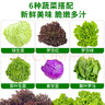 綠食者 新鮮蔬菜沙拉組合4斤 西餐色拉沙拉生菜輕食健身食材配菜 4斤【無沙拉醬】 曬單實拍圖