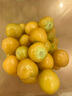 東北姑娘果新鮮當季水果5斤黃菇娘燈籠果大果甜菇娘特產(chǎn)順豐包郵 凈重0.8-1斤【品質(zhì)好果】 曬單實(shí)拍圖