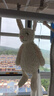 Jellycat害羞乳白色邦尼兔動(dòng)物毛絨玩偶安撫玩偶娃娃生日七夕情人節(jié)禮物 乳白色 Medium 曬單實(shí)拍圖
