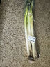 帶根香菜100g 曬單實拍圖