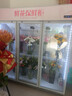 卡帝仕 花店商用鮮花保鮮柜大容量風(fēng)冷鮮花保鮮冰箱鮮花冰柜鮮花冷藏保鮮柜鮮花冷柜展示柜鮮花柜保鮮柜 風(fēng)冷循環(huán)白色三門(mén) 曬單實(shí)拍圖