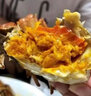 【活蟹】陽(yáng)澄凱馨鮮活大閘蟹 精品全母蟹2.3-2.6兩8只禮盒裝 曬單實(shí)拍圖