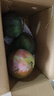 京鮮生 攀枝花凱特芒果 凈重4.5斤 單果600g 水果 源頭直發(fā)【搜生鮮館】 曬單實(shí)拍圖