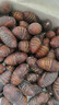 御農(nóng)優(yōu)品柞蠶蛹鮮活東北特產(chǎn)新鮮繭蛹特級(jí)大黃二黃蠶蛹黑蟬蛹活A(yù)級(jí)精品蛹 大二黃蠶蛹2斤(約90只4-5cm/只) 曬單實(shí)拍圖