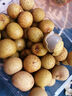 泰國(guó)龍眼500g 曬單實(shí)拍圖