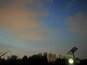蕉下（beneunder）防紫外線(xiàn)遮陽(yáng)傘晴雨傘六折黑膠卡片防曬傘扁傘BM666檸檬酒 曬單實(shí)拍圖
