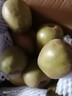 裕瓊紅心獼猴桃紅陽四川蒲江國產(chǎn)奇異果新鮮即食彌獼桃水果現(xiàn)摘泥猴桃 【中果】30枚裝(單果70-90g) 現(xiàn)摘現(xiàn)發(fā) 精選品質(zhì)果 曬單實(shí)拍圖