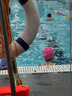 速比濤（Speedo）泳鏡V速3代智感貼合防霧防曬雙鏡帶專業(yè)競速女士鍍膜泳鏡 粉/紫 曬單實拍圖
