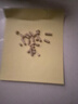 老鼠藥三步到一聞就死劇毒家用滅鼠超強(qiáng)力特一窩端高效驅(qū)鼠藥神器 滅鼠不傷人畜2袋【家中永無(wú)鼠】 曬單實(shí)拍圖