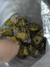 貝司令 鮮活乳山生蠔5XL 凈重10斤 16-20只 生鮮源頭直發(fā) 七夕聚餐  曬單實拍圖