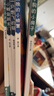 【全5冊】快樂讀書吧二年級上冊 孤獨的小螃蟹+一只想飛的貓+小鯉魚跳龍門+小狗的小房子+歪腦袋木頭樁  贈送閱讀指導(dǎo)手冊中小學(xué)必讀名著課外書有聲伴讀一升二暑假閱讀書籍 曬單實拍圖