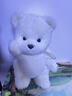 莉娜熊（TeddyTales）小熊玩偶毛絨玩具熊泰迪手作熊安撫娃娃送禮送人女生生日禮物 長毛奶白（熱銷款） 中號站姿約30cm 曬單實(shí)拍圖