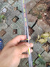 小鳳仙硬尾夜光漂咬鉤變色高靈敏度日夜兩用鯽魚漂醒目野釣鰱鳙納米浮漂 SDL02-1休閑鯽鯉綜合 吃鉛1.8g 高亮硬尾【咬鉤變色】+1電池 曬單實(shí)拍圖