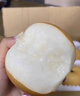 山姆伯伯秋月梨正宗萊陽(yáng)梨【多地次日達(dá)】新鮮梨子香雪梨水果禮盒中秋禮品 【清甜-優(yōu)選果】丨單果200-300g 5斤裝【超劃算-80%回購(gòu)選】?jī)?.5 曬單實(shí)拍圖