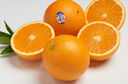 新奇士（Sunkist）澳大利亞藍(lán)標(biāo)早臍橙橙子大果4斤禮盒裝 單果220g+ 新鮮水果禮盒 曬單實(shí)拍圖