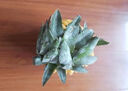 廣東香水菠蘿 徐聞菠蘿 新鮮水果非鳳梨現(xiàn)采現(xiàn)摘整箱包郵 【2個裝】凈重2.6斤-2.8斤 曬單實拍圖