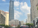 準(zhǔn)航嘉語菩提子木珠汽車坐墊夏季透氣通風(fēng)冰涼席辦公室四季通用車座墊 曬單實(shí)拍圖