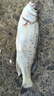 OEMG路亞專用釣魚毛巾帶掛扣吸水擦手抓魚多功能垂釣裝備漁具 鋼絲伸縮扣+毛巾 曬單實拍圖