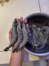 LZJV進(jìn)口黑虎蝦高品質(zhì)活凍黑虎蝦大蝦類(lèi)超大老虎蝦海鮮水產(chǎn)可配禮盒 20-24厘米13只 1000g(凈重) 曬單實(shí)拍圖