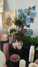 【天空之城盆景】小葉紫黑古茶老樁綠植高檔懸掛式植物盆栽花卉 叢林天空之城50-60高+沙彌+小馬 曬單實(shí)拍圖