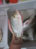 鱘王（XUNWANG） 鱘王錨魚(yú)竿碳素錨竿超硬錨桿專用掛魚(yú)巨物遠(yuǎn)投套裝 3.3米（裸竿）錨桿 曬單實(shí)拍圖