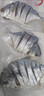 廣東湛江淡曬特大金鯧魚干5條裝 真空包裝特產(chǎn)干貨 5條（每條300-350克）共約1500g 曬單實(shí)拍圖