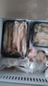 森農(nóng)樂豆腐魚舟山特產(chǎn)龍頭魚鮮活冷凍海鮮水產(chǎn)九肚魚生鮮海魚水潺3斤裝 凈重1500g【鮮肥嫩滑】 曬單實拍圖