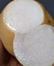 正宗山東秋月梨新鮮梨子當(dāng)季現(xiàn)摘萊陽冰糖梨雪梨蜜梨中秋水果 5斤 【嚴(yán)選裝】品質(zhì)升級，嚴(yán)選好果 曬單實拍圖