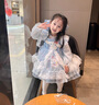 皮爾卡丹（pierre cardin）童裝公主裙女童夏裝新款兒童夏季洛麗塔敖丙衣服魔童2連衣蓬蓬裙 藍色玉桂狗aekcqia 90 尺碼1~2歲【 80-90cm】 曬單實(shí)拍圖