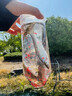 抓魚神器捕魚小溪捉魚撈魚兒童戶外塑料抓小魚工具倒須抓魚瓶全套 抓魚瓶 +12米拉繩+2包餌料+地插 曬單實(shí)拍圖