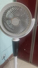 艾美特（AIRMATE）【直流變頻】空氣循環(huán)扇負離子凈化家用語音電風扇輕音落地扇臺立式電扇香薰節(jié)能輕音一級能效198 曬單實拍圖