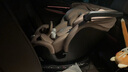 寶得適（BRITAX）寶寶兒童安全座椅0-7歲isize認證正反360°旋轉(zhuǎn)成長騎士air薄霧粉 曬單實拍圖