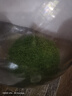 魚(yú)缸專(zhuān)用水草泥生態(tài)水草種子底砂造景沙凈水免洗不粉化泥種植土 大對葉水草種子約5000粒11克 曬單實(shí)拍圖