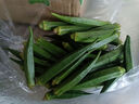 新鮮水果秋葵蔬菜新鮮現(xiàn)摘現(xiàn)發(fā)當(dāng)季蔬菜生鮮涼拌好物減肥瘦身 現(xiàn)摘水果秋葵 500g 曬單實拍圖