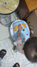 小哈倫兒童馬桶寶寶坐便器嬰幼兒尿盆小孩坐便器小便器雙軟墊小狗洛克藍 曬單實拍圖