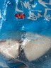 鮮馳 三文魚扒輪切超大三文魚排新鮮厚切大片整條中段原切固形物≥80% 國產(chǎn)輪切中段 1000g （凈重）4-6片 曬單實拍圖