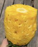 【樹(shù)上熟】海南寶島甜心金鉆鳳梨 約1.15kg 曬單實(shí)拍圖