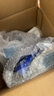 藍(lán)月亮洗衣液袋裝亮白增艷1kg*5袋 薰衣草香 洗衣液補充裝 護(hù)色增艷 曬單實拍圖