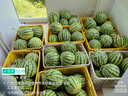 babycare Air pro拉拉褲成長褲大號(hào)XXL28(>15kg) 嬰兒尿不濕夏日超薄透氣 曬單實(shí)拍圖