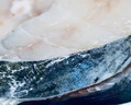 賣魚七郎特大馬鮫魚切片鲅魚段500g（含保護冰50g）共2-3片深海魚中段魚類 曬單實拍圖